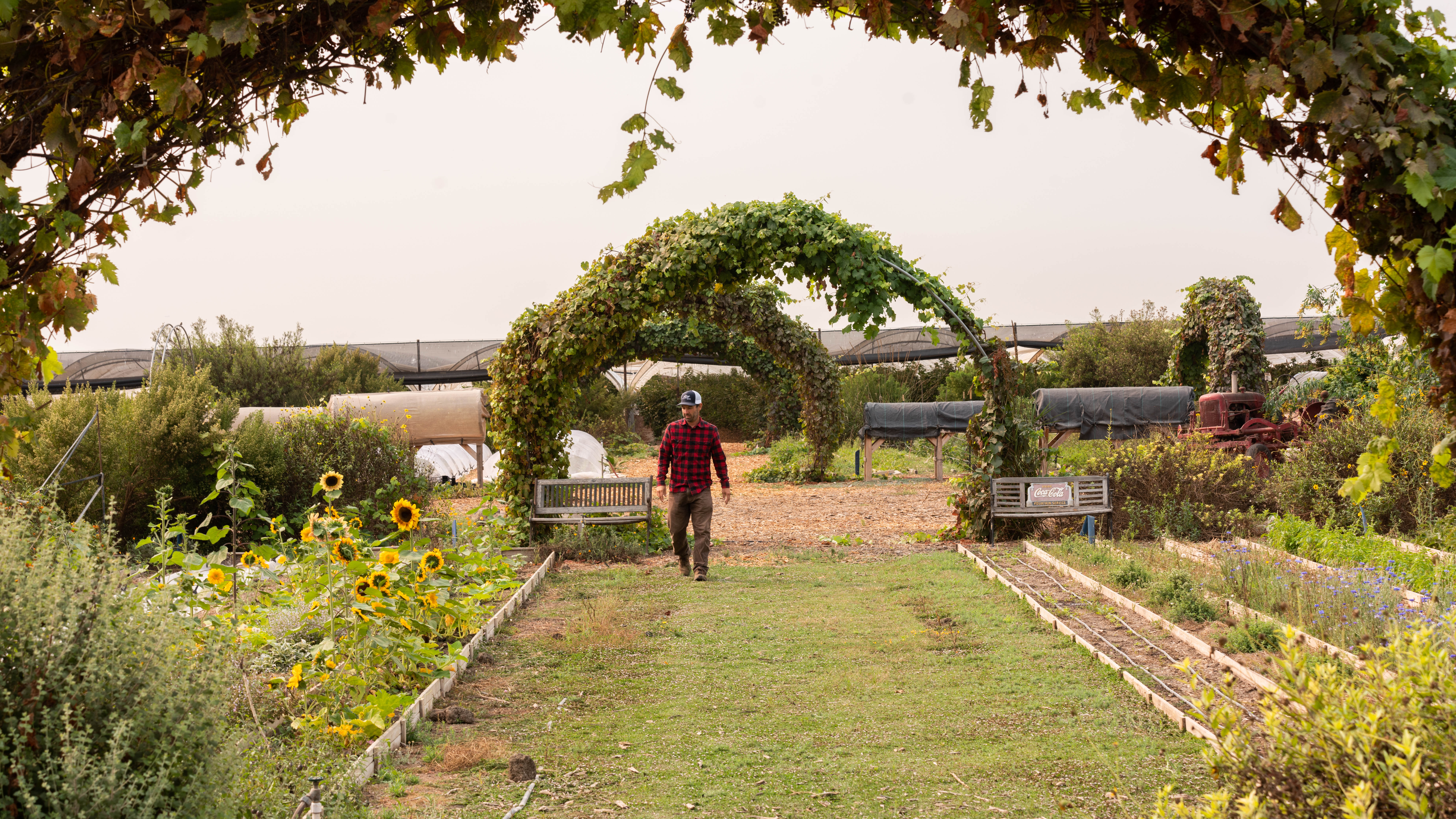 McGrath Family Farm