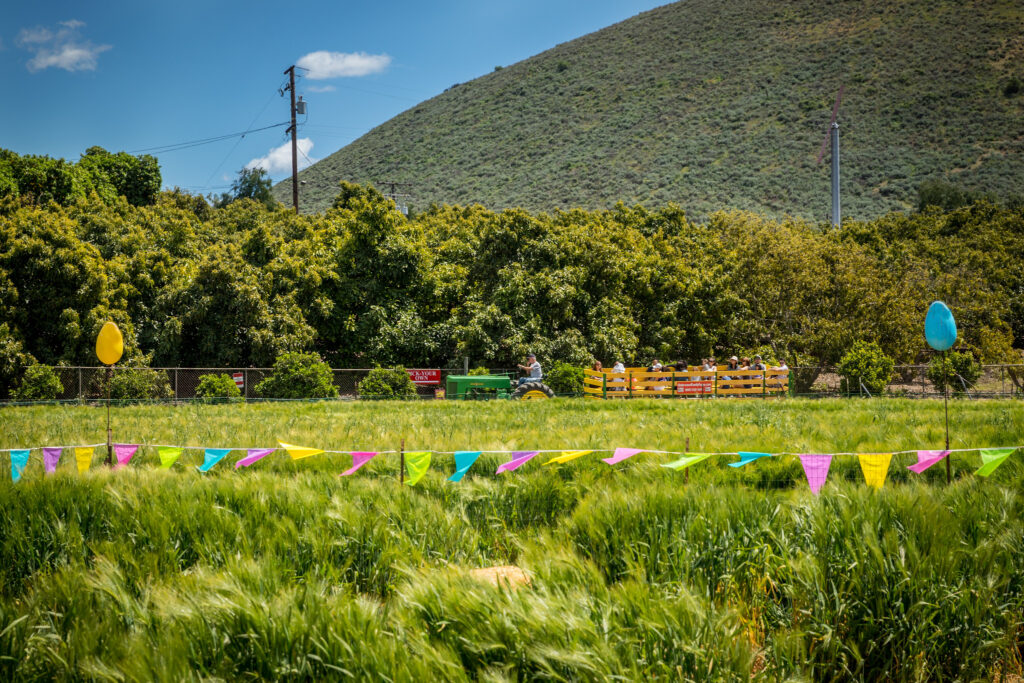 https://visitcamarillo.com/wp-content/uploads/2023/01/Underwood-Farms-Springtime.jpg