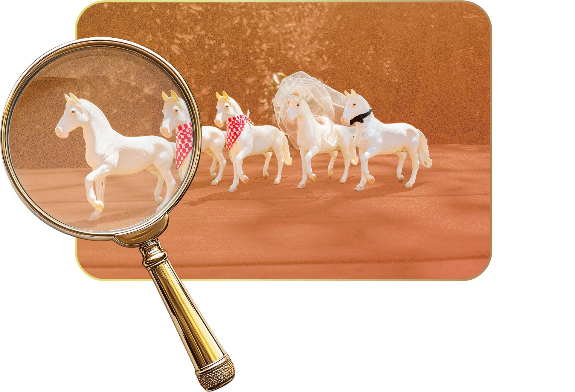 Search for horses